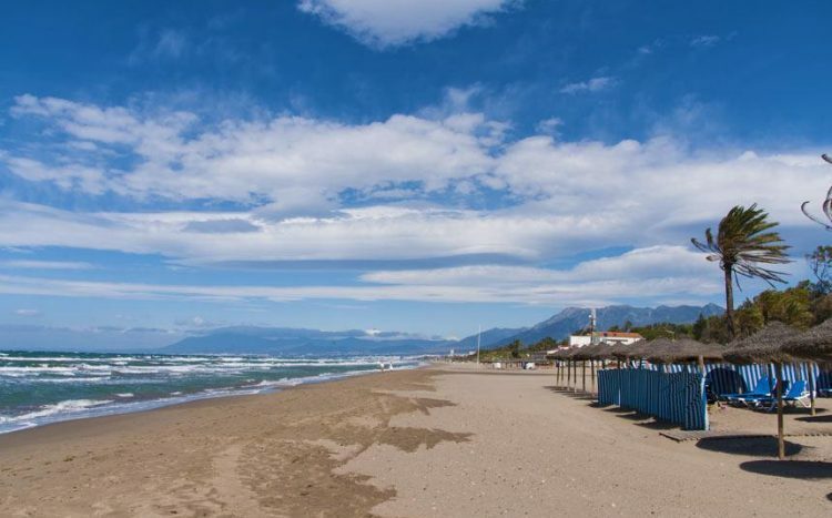 playa real de zaragoza