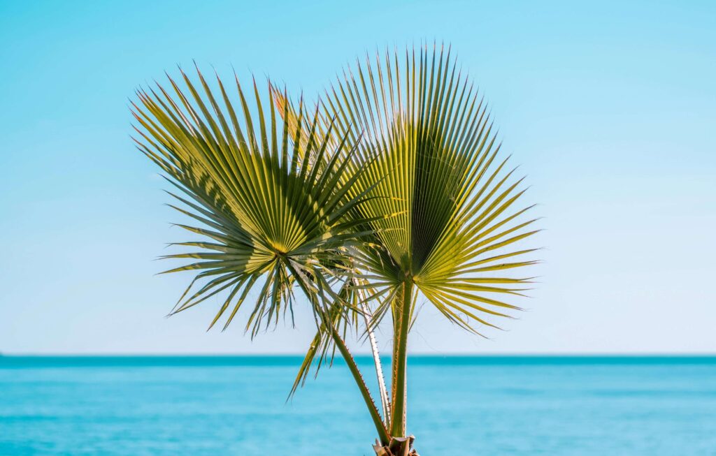 Holiday Spain INVESTINSPAIN