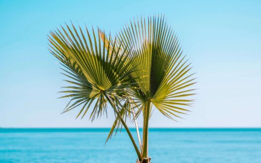 Holiday Spain INVESTINSPAIN
