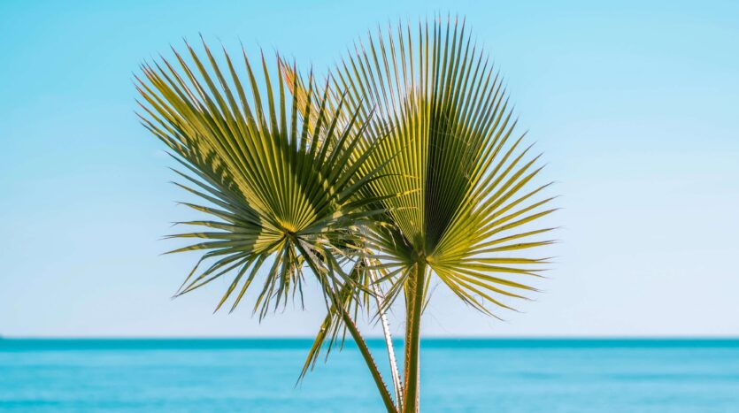 Holiday Spain INVESTINSPAIN