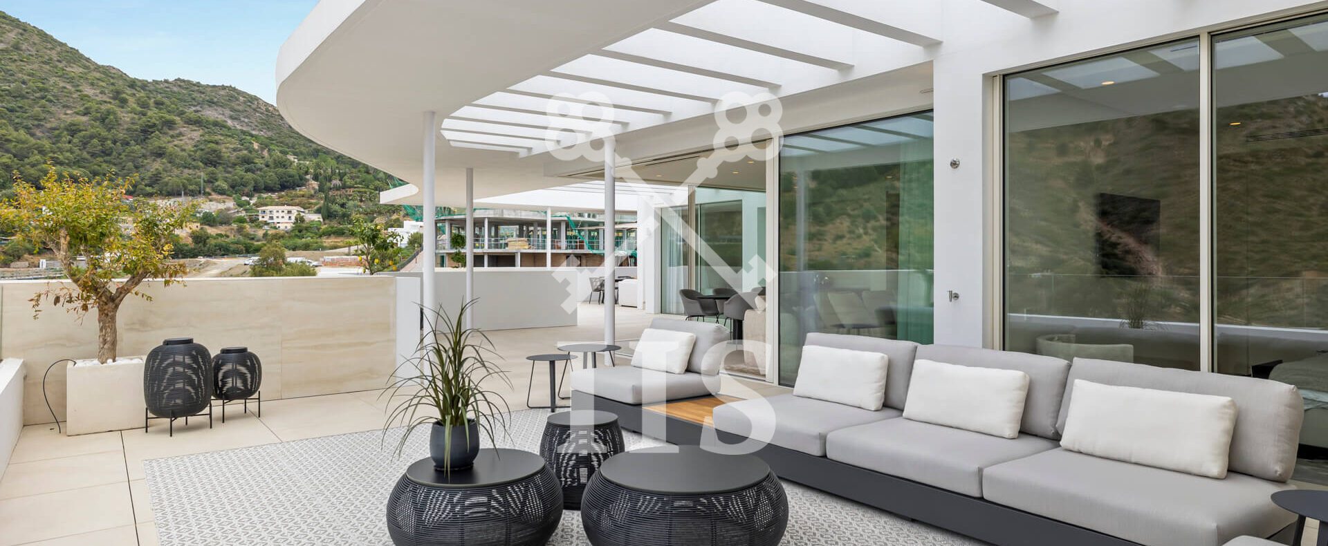 2023 05 04 Invest in Spain Palo Alto Jacarandas 4 2 1 P46