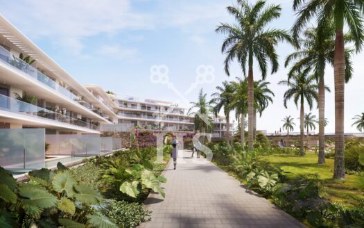 Solum – Tenerife