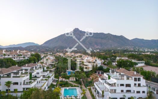 Lomas del Rey