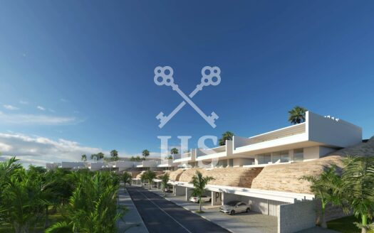 Siam Blue – Tenerife