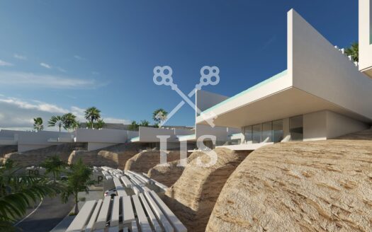 Siam Blue – Tenerife