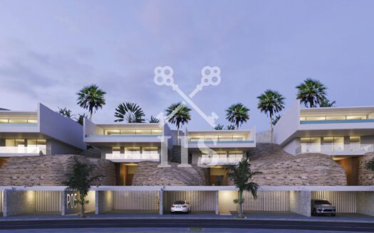 Siam Blue – Tenerife