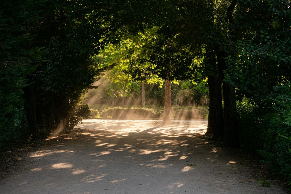 Парк Grand Park Mijas Іспанія