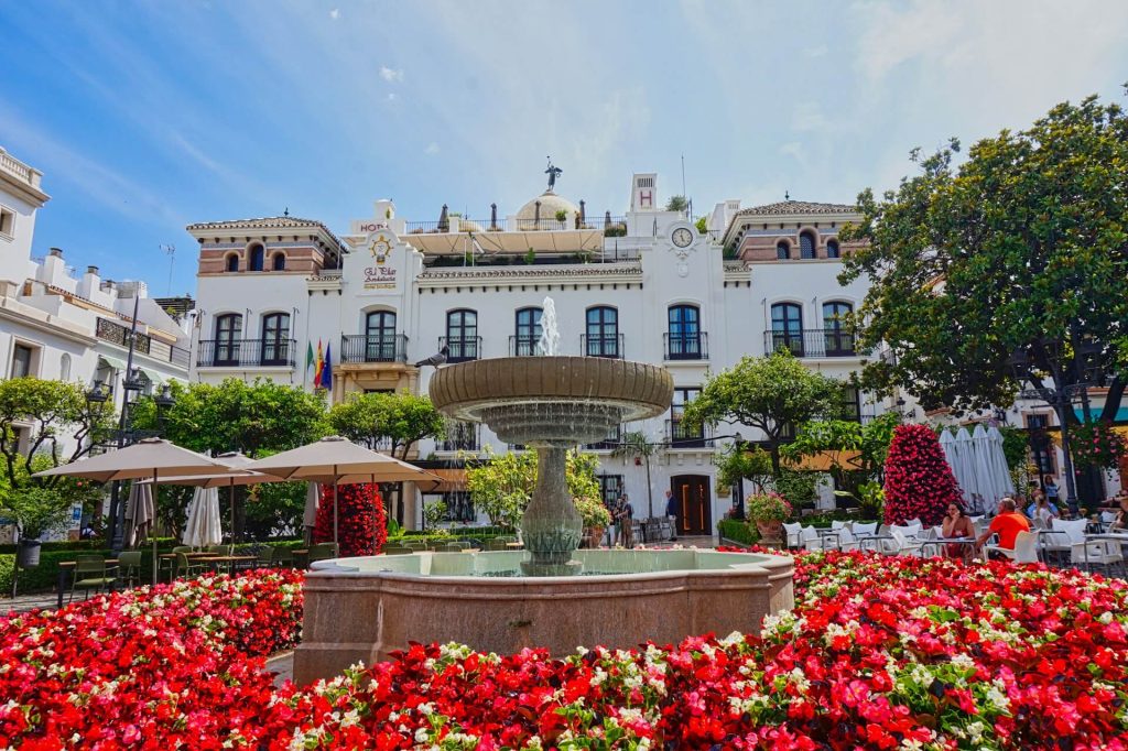 Estepona flowers christian hergesell cDiVR0a k74 unsplash (1)